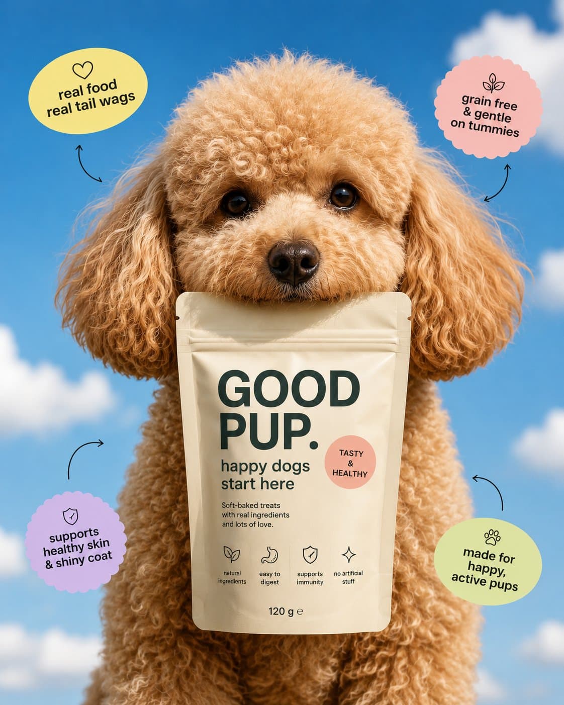 Pet treat ad still with dog